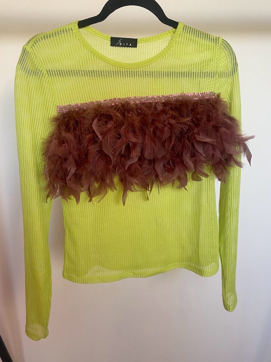 Sheer Striped Long-Sleeve Top with Feathers & Bead Details - Image 3